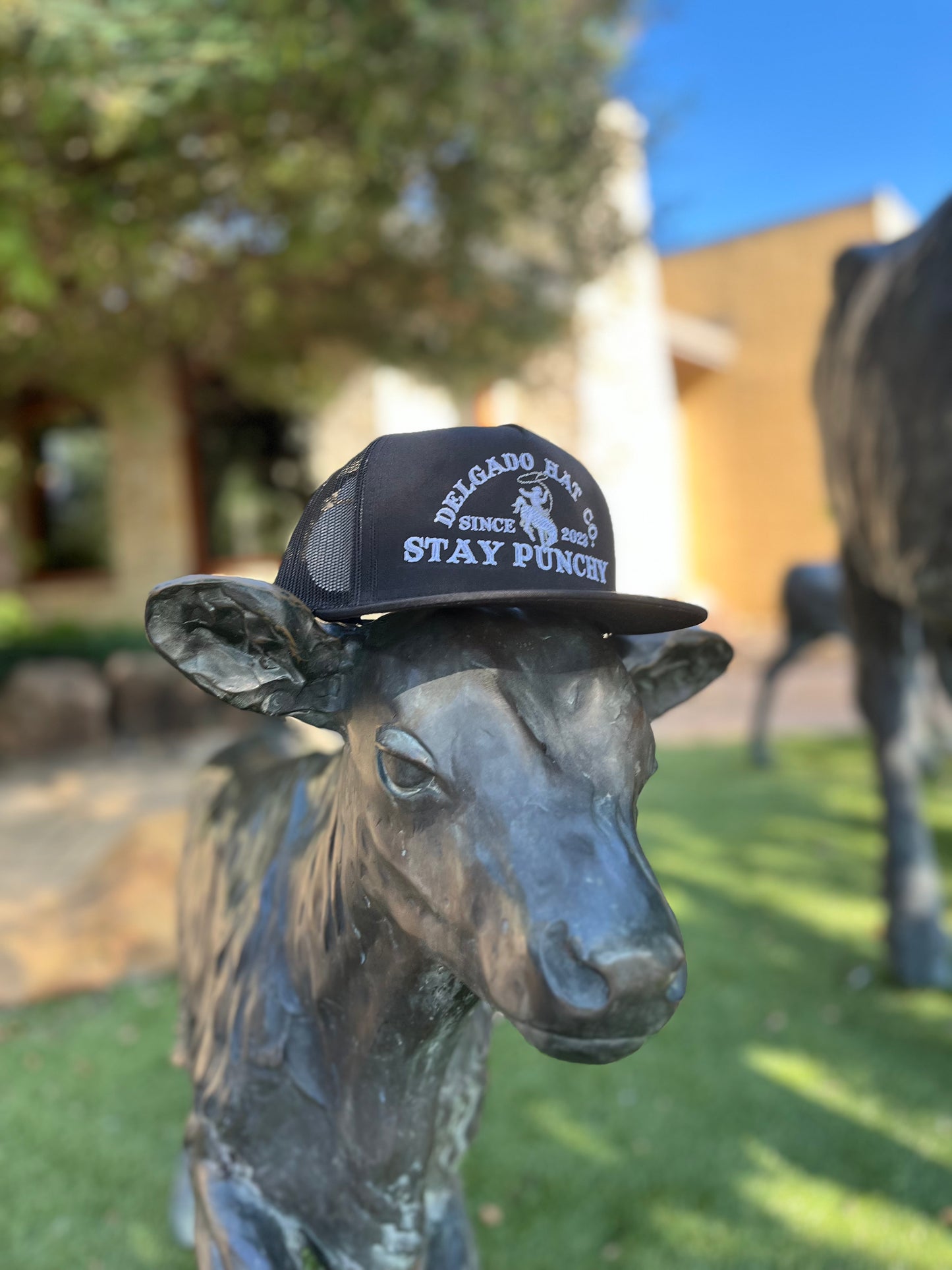 Charcoal/White Stay Punchy Delgado Hat Co. Snapback